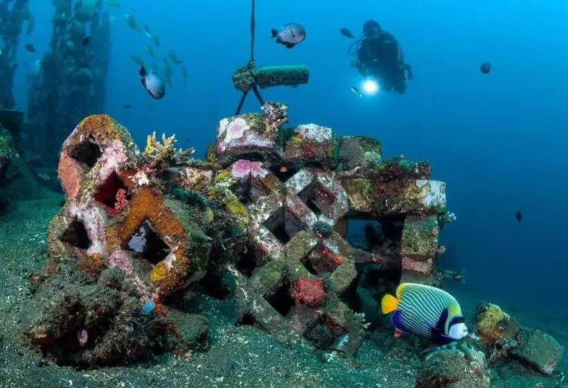 호텔 Siddhartha Oceanfront Resort & Spa Bali