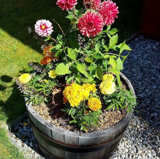 Hotelli Torcroft Lodges