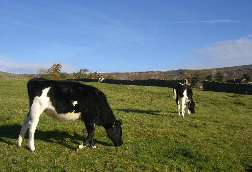 بنسيون Arkleside Country Guest House