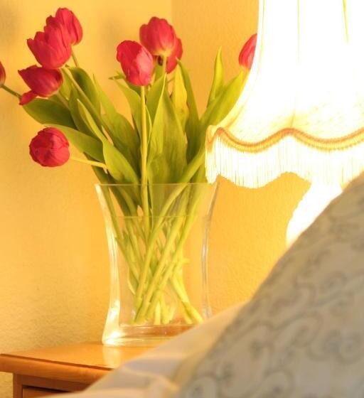 بنسيون Arkleside Country Guest House