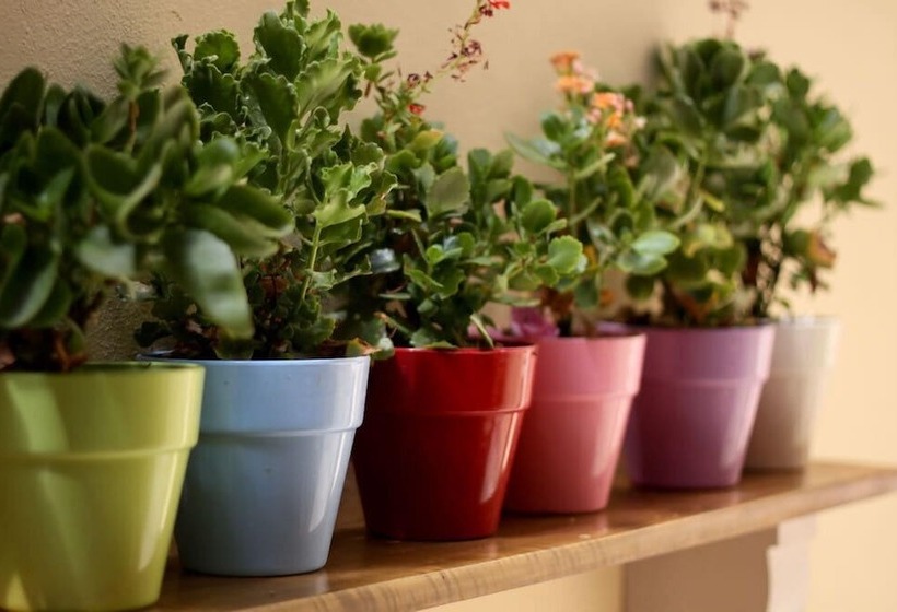 פנסיון Byzantine