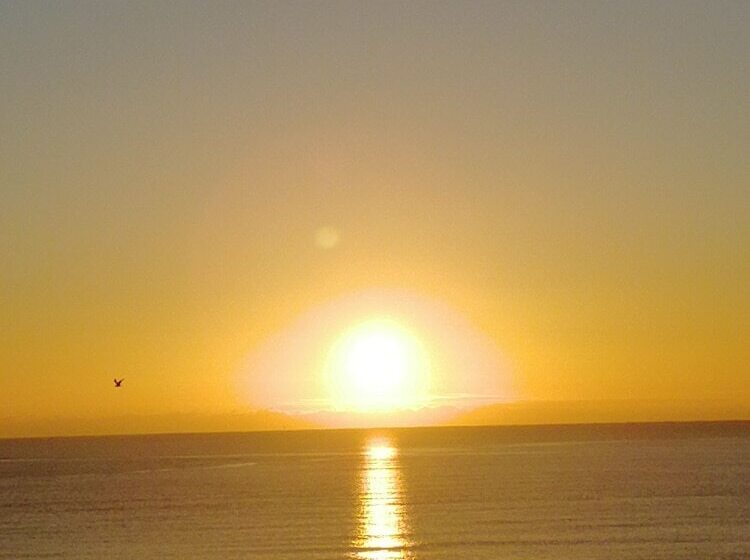 Rowntree Holiday Flats