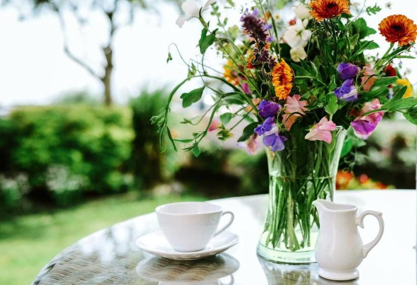 The Sands B&b Rostrevor