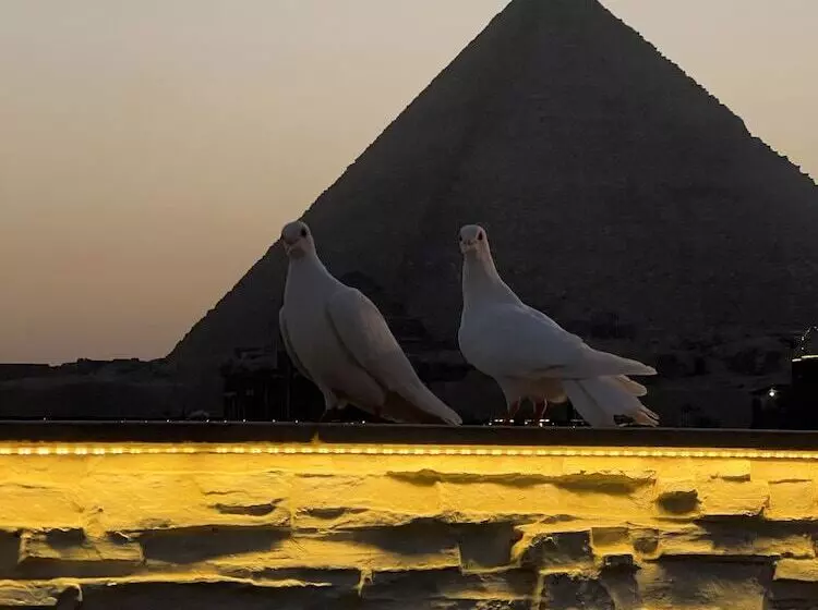 هاستل Pyramids Top In