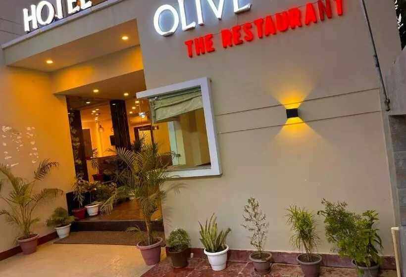 Hôtel Olive Inn, Haridwar