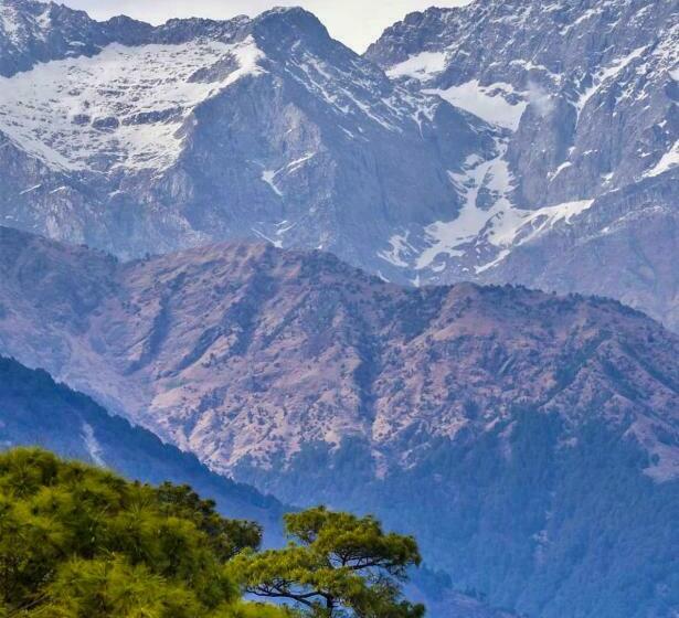 リゾートホテル Villa Dharamshala By Snow Biscuit