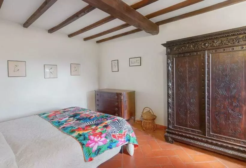 Hotelli Universal Harmony   Cardellino