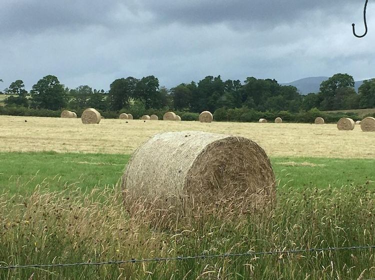Ardoch Cottage Bed & Breakfast