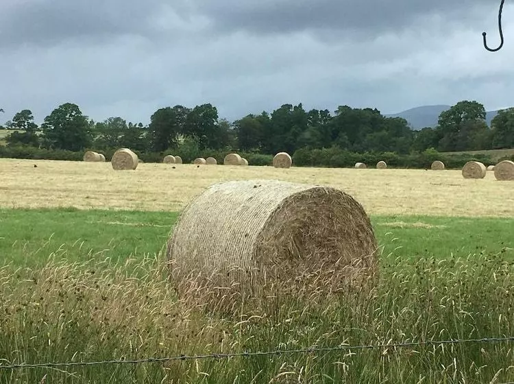 Ardoch Cottage Bed & Breakfast