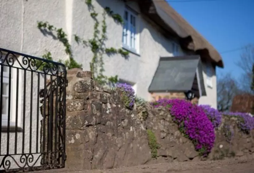 Bed and Breakfast Fernside Cottage