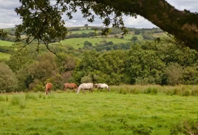 Bed and Breakfast Fernside Cottage