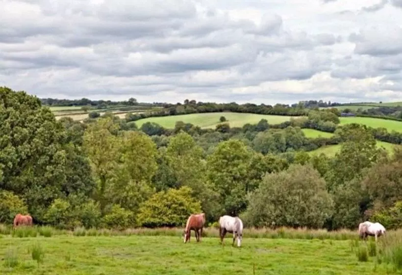 Bed and Breakfast Fernside Cottage