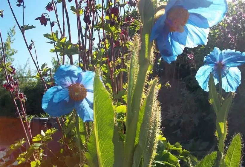 Bed and Breakfast Fernside Cottage