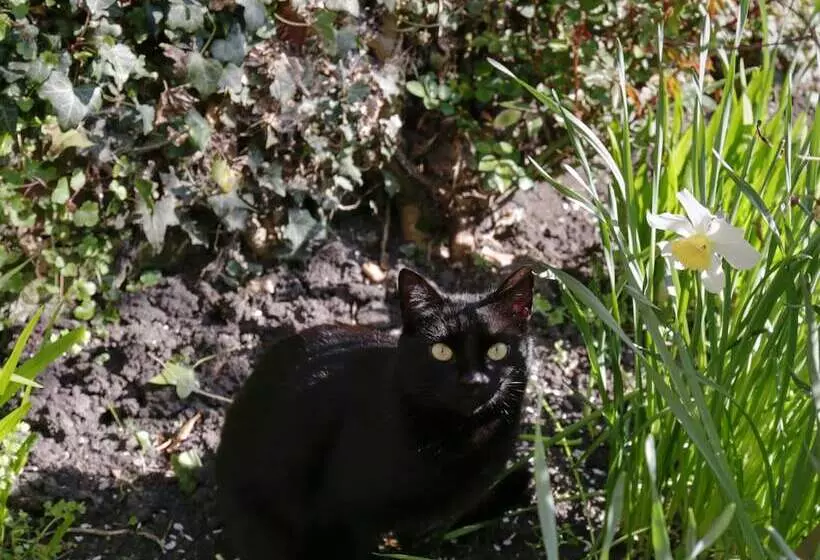 مبيت وإفطار Fitzwarine House Whittington