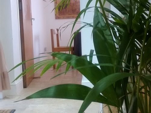 Bed and Breakfast Jessamine House