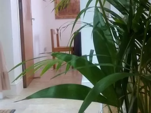 Bed and Breakfast Jessamine House