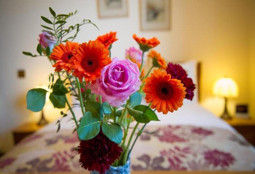 住宿加早餐  Tali Ayer