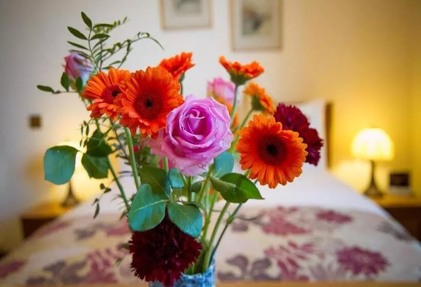 Nocleg ze śniadaniem Tali Ayer