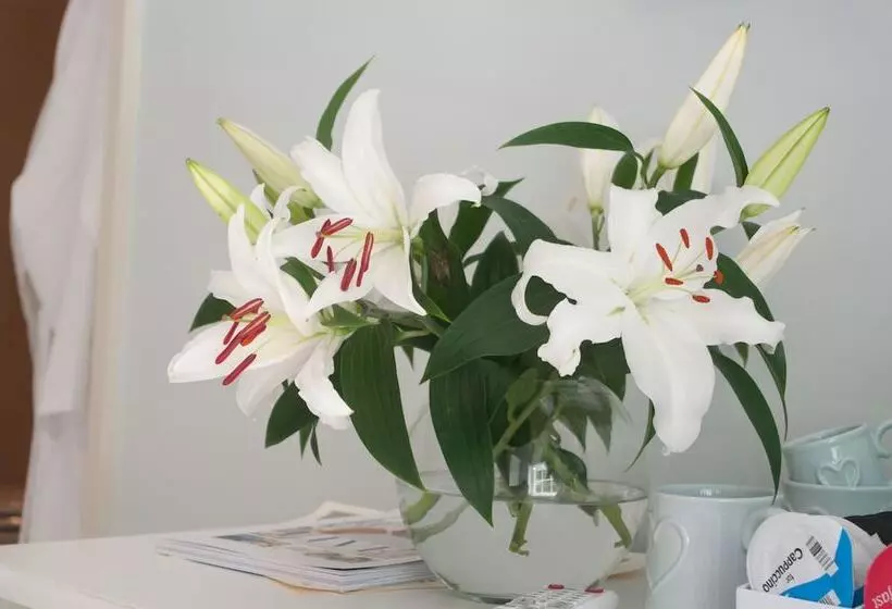 Nocleg ze śniadaniem The Court House