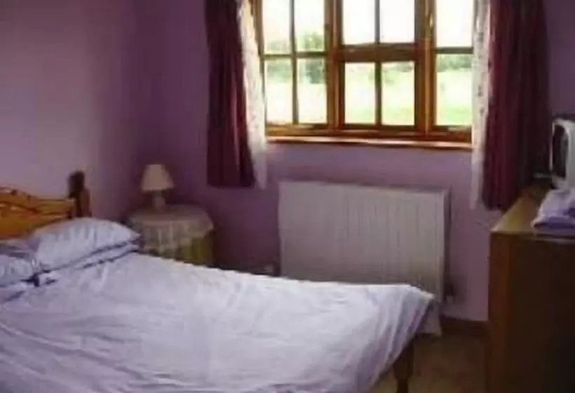 민박 The Woodlands