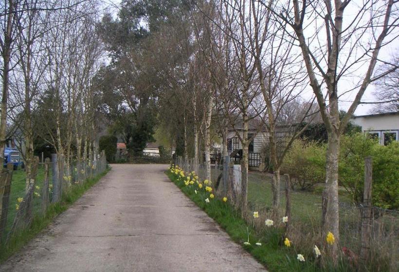 مبيت وإفطار Woodgate Farm