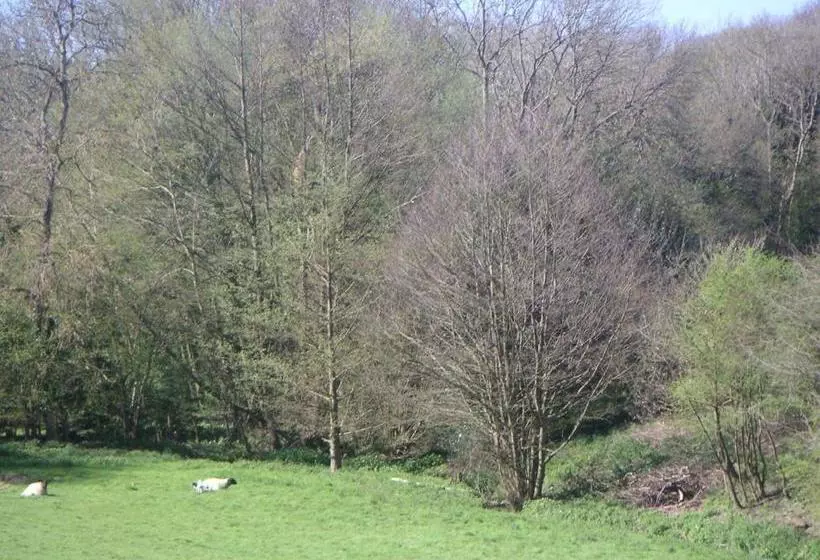 צימר Woodgate Farm