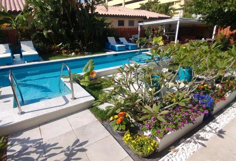 Downtown Hollywood Boutique