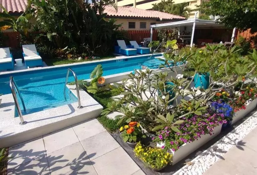 Downtown Hollywood Boutique