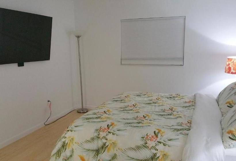 Downtown Hollywood Boutique