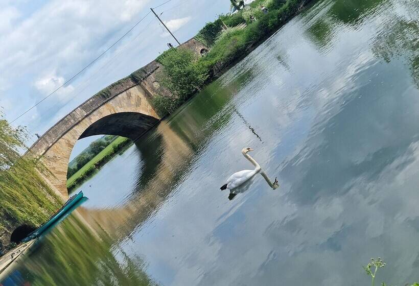 فندق The Riverside