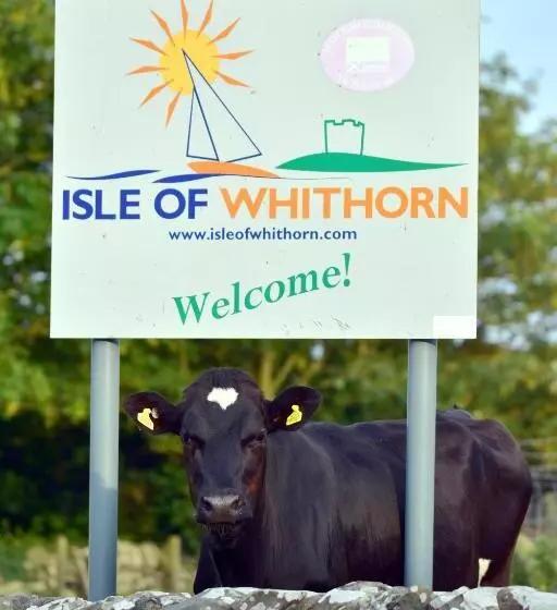 هتل The Steam Packet Inn