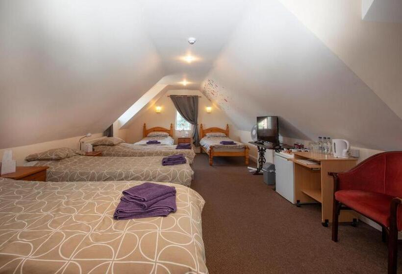 فندق The William Iv