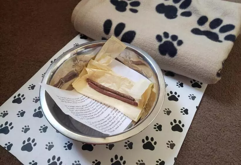 Pensiune Ashleigh House