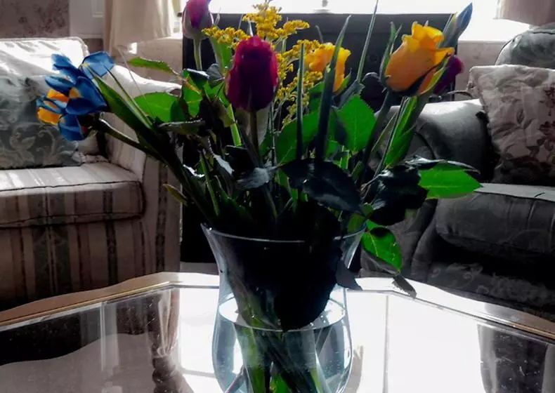 Pensiune Ashleigh House