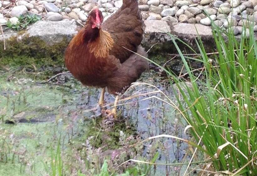 بنسيون Blackwell House