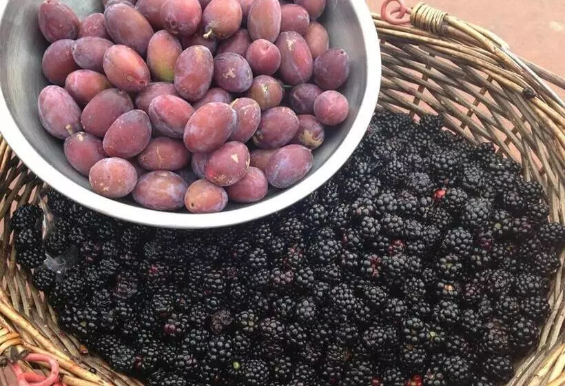 膳宿费 Blackwell House