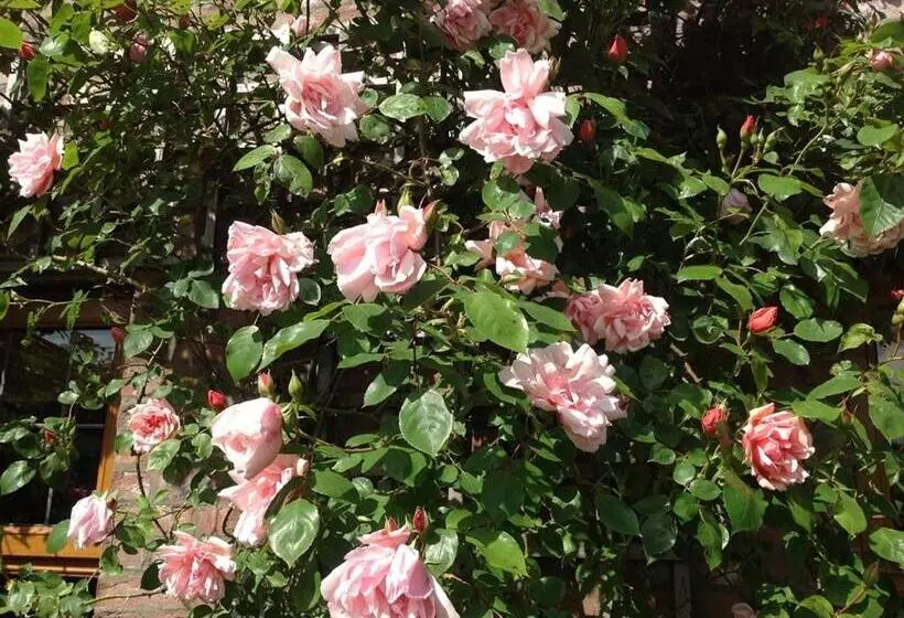 膳宿费 Blackwell House