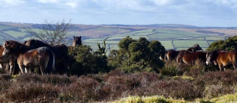 Stones Hotel And Bar
