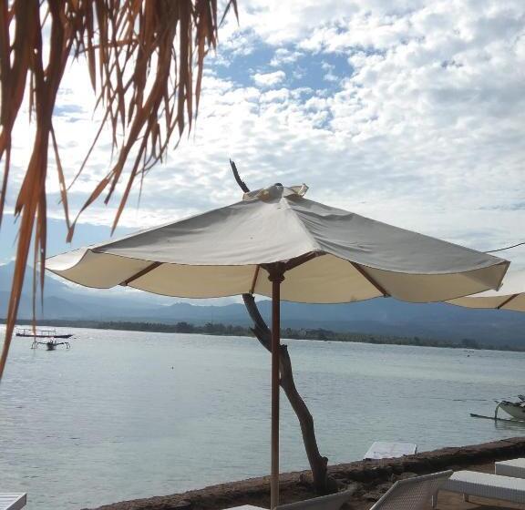 Отель Star Bar And Bungalows