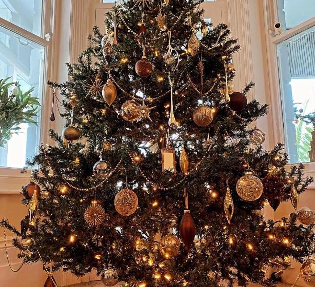 مبيت وإفطار Beach Front Guest House