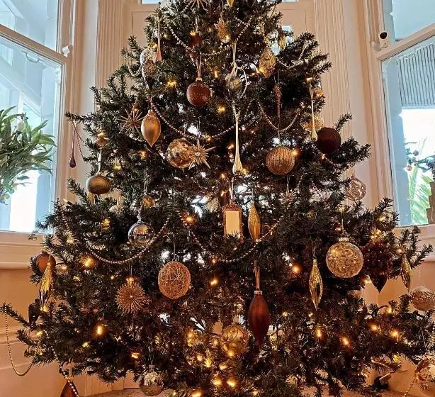 ベッドアンドブレックファースト Beach Front Guest House