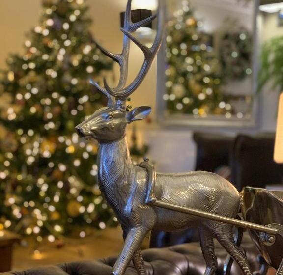 مبيت وإفطار Beach Front Guest House