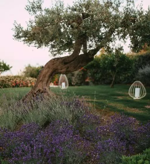 هتل Baia Delphis Resort