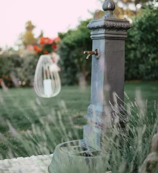 هتل Baia Delphis Resort