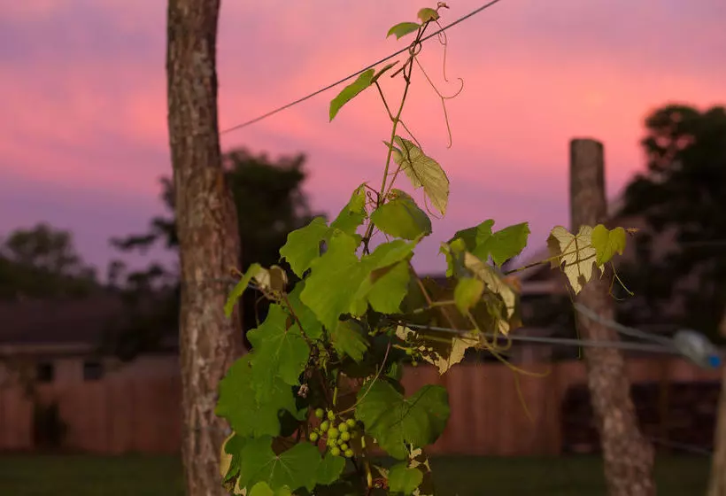 ホテル Bunn House A Boutique