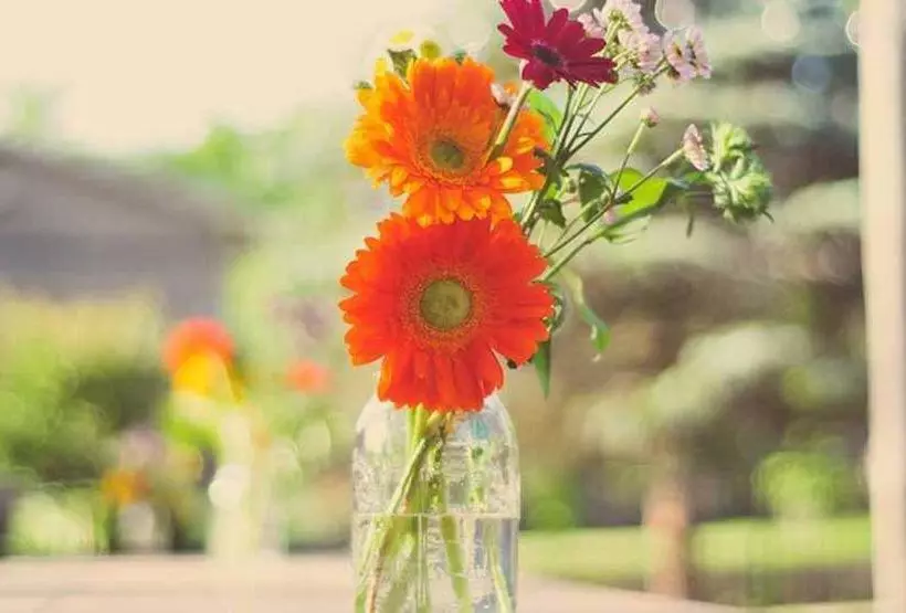 ホテル Bunn House A Boutique