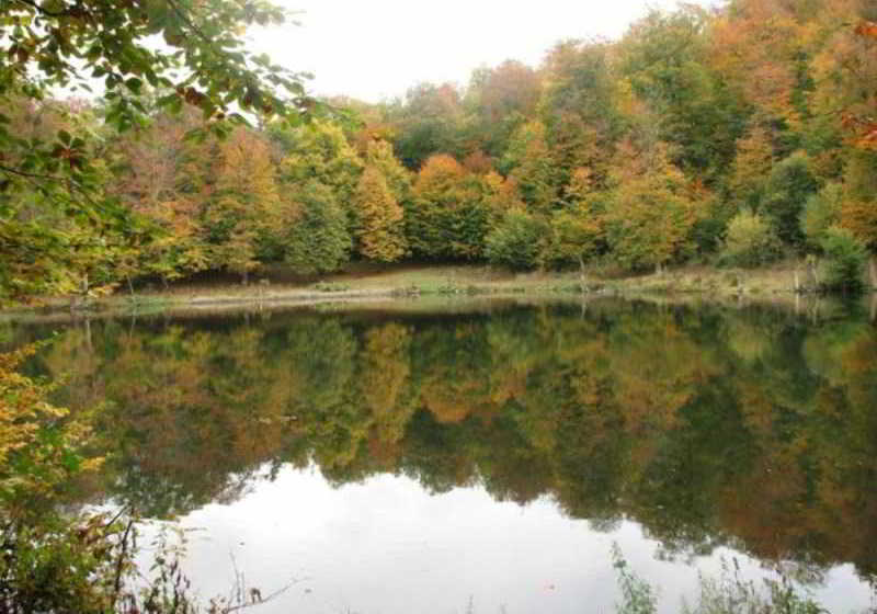 فندق Casanova Inn  Boutique