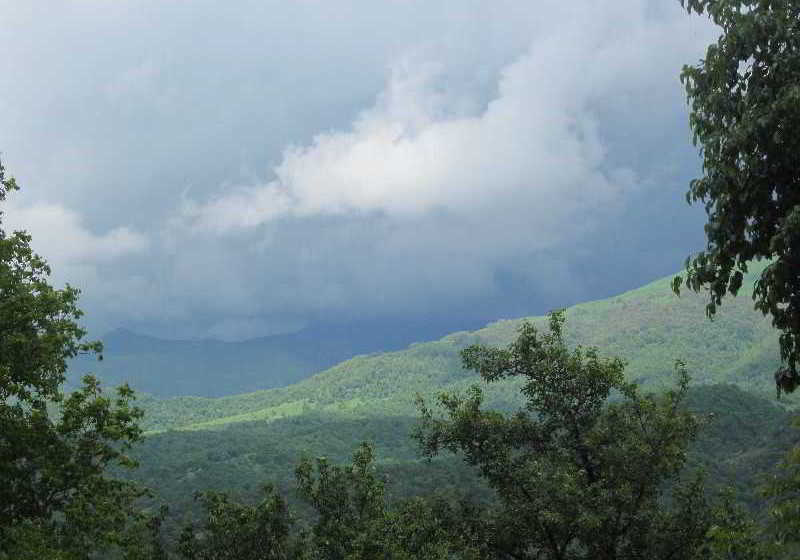 فندق Casanova Inn  Boutique