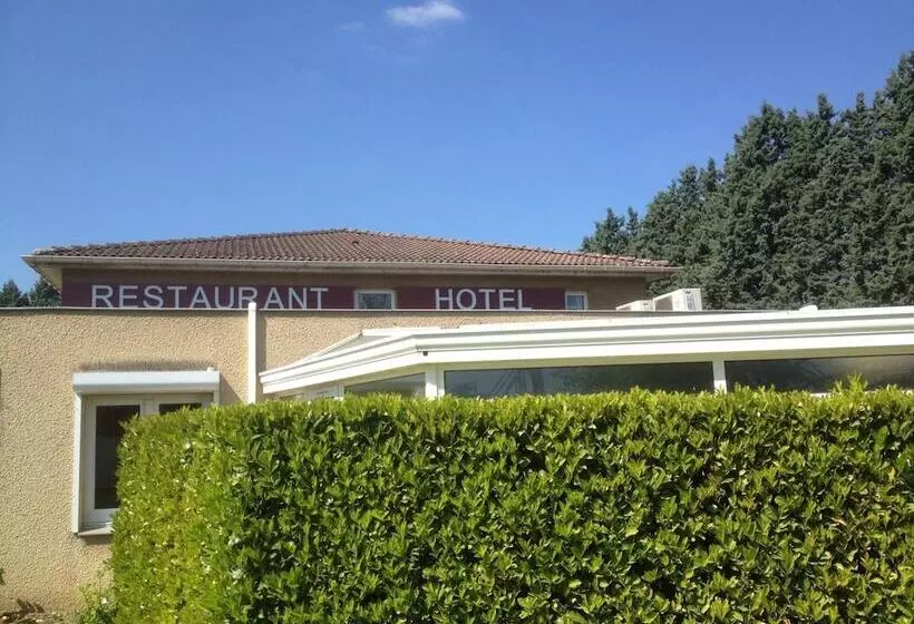 هتل Du Moulin à Vent Gerland