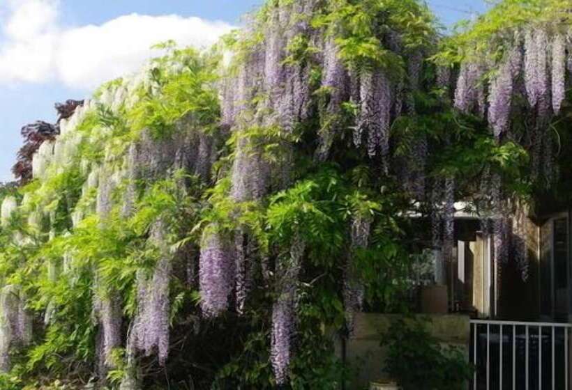 هتل Du Moulin à Vent Gerland
